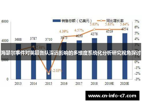 海瑟尔事件对英超各队深远影响的多维度系统化分析研究视角探讨 海瑟尔事件对英超各队深远影响的多维度系统化分析研究视角探讨