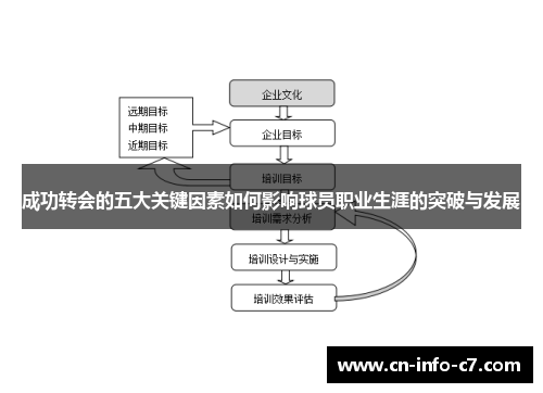 成功转会的五大关键因素如何影响球员职业生涯的突破与发展