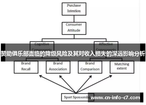 赞助俱乐部面临的降级风险及其对收入损失的深远影响分析 赞助俱乐部面临的降级风险及其对收入损失的深远影响分析