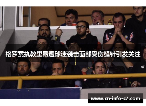 格罗索执教里昂遭球迷袭击面部受伤缝针引发关注 格罗索执教里昂遭球迷袭击面部受伤缝针引发关注