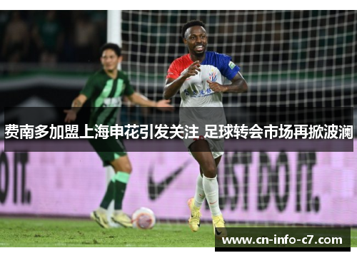 费南多加盟上海申花引发关注 足球转会市场再掀波澜