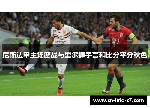 尼斯法甲主场鏖战与里尔握手言和比分平分秋色 尼斯法甲主场鏖战与里尔握手言和比分平分秋色